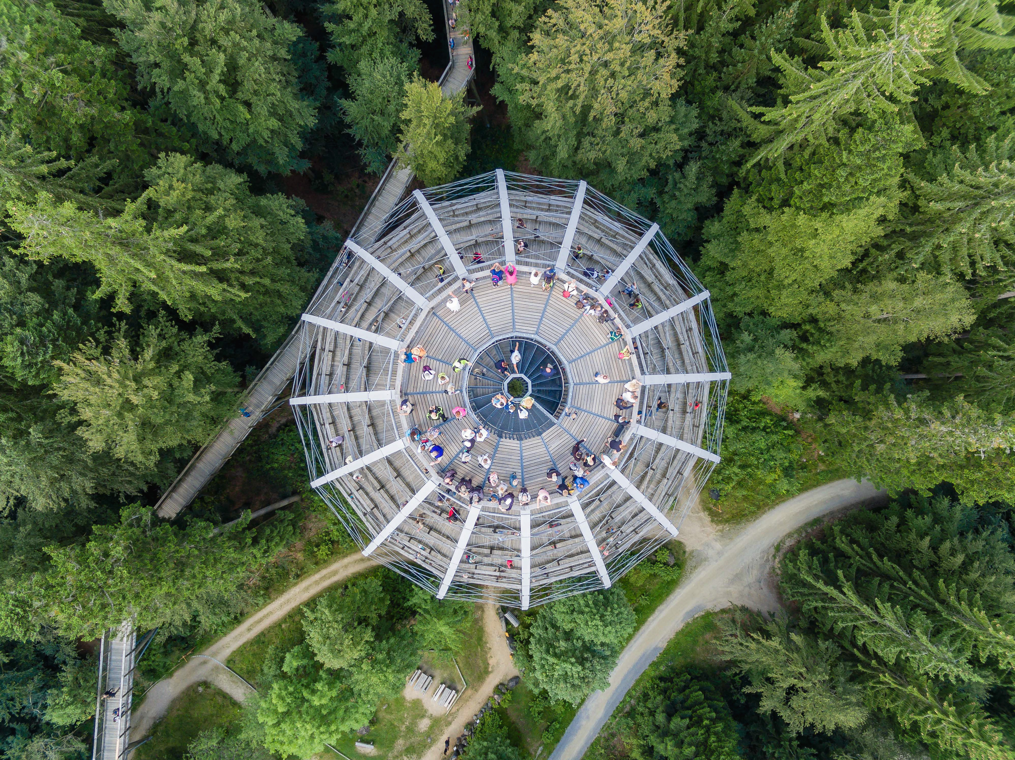  Baumwipfelpfad Bayerischer Wald - Erlebnisakademie 