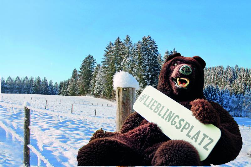 Lieblingsplatz Bärtl Bär im Schnee